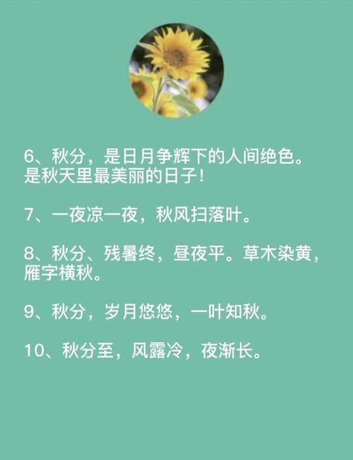 谁能用秋分唯美的短句，成一句不超过50个字的长尾？