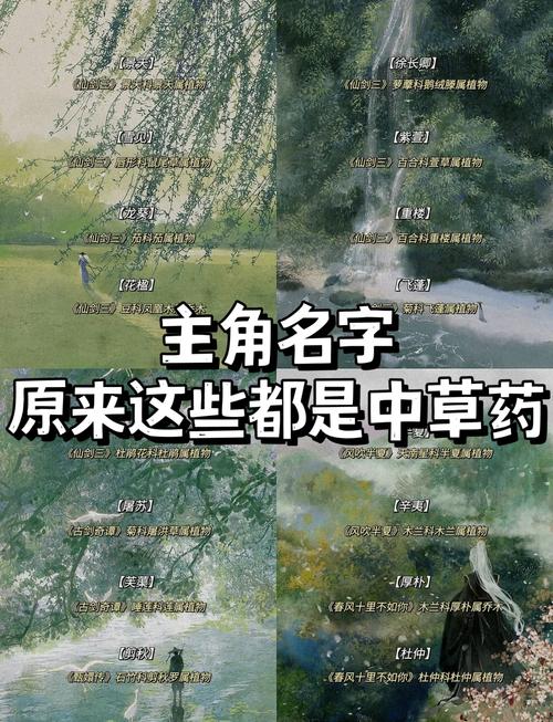 药取名艺术手法有哪些，能探微其中的艺术奥秘吗？