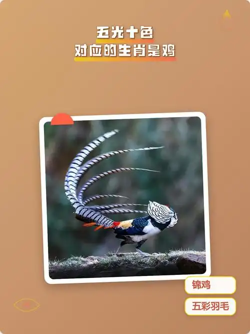 五光十色指的是哪个生肖动物？