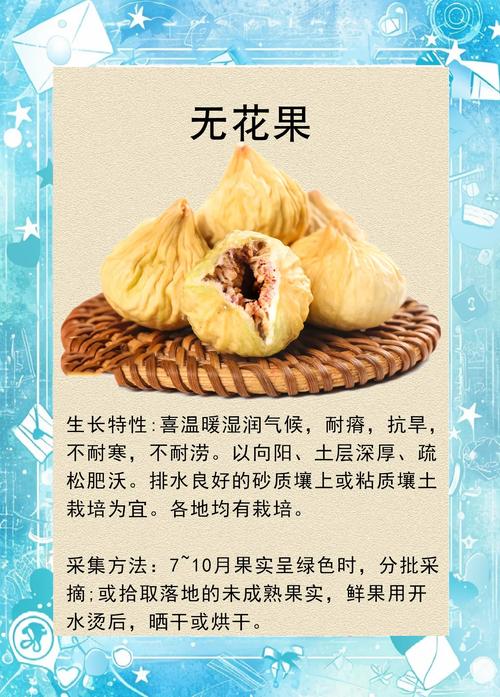 无花果的寓意究竟代表了哪些深层含义？