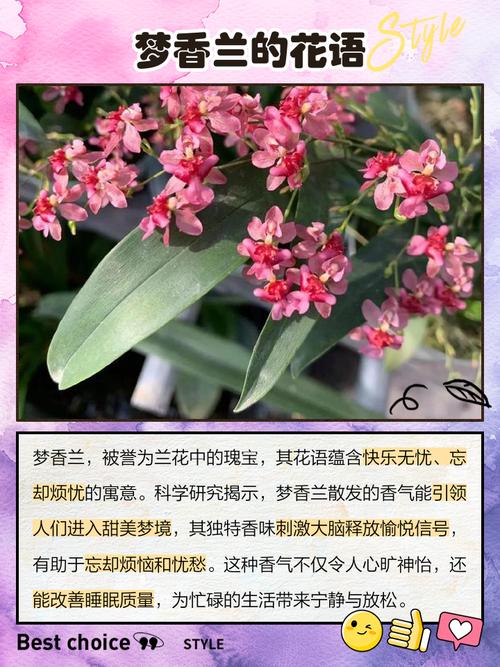 梦见闻到花香预示着什么吉凶？