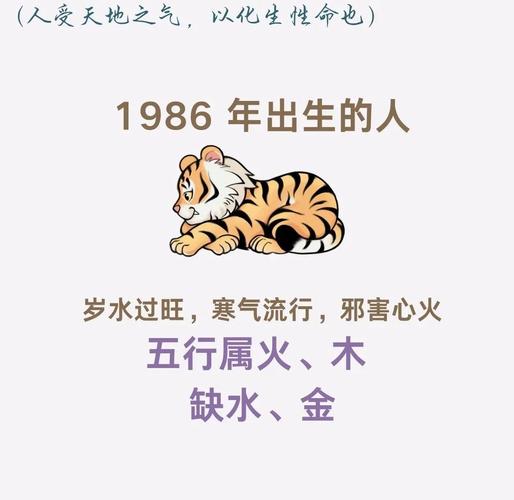 1986年属什么生肖，五行属什么属虎的人五行与命运有何关联？