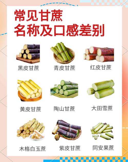 梦见成熟的甘蔗预示着什么是周公解梦中的大丰收吉兆吗？