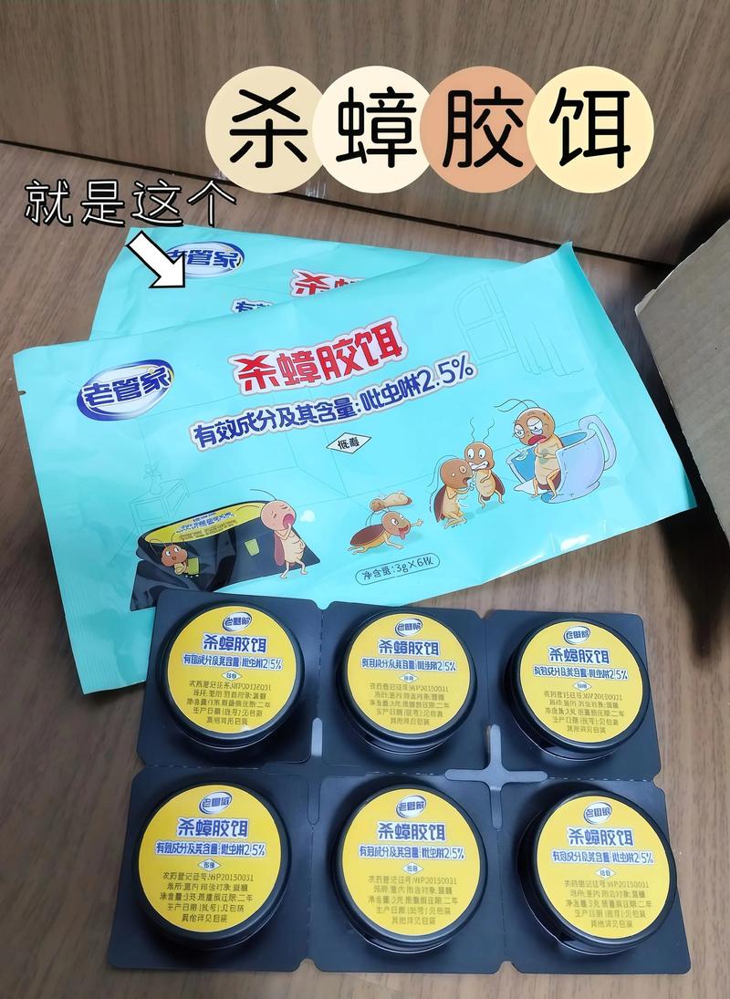 家里放置什么物品能有效防止蟑螂入侵？