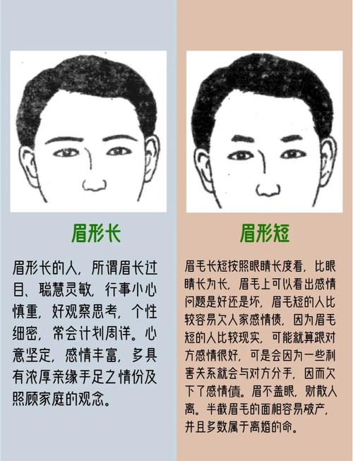 做官的面相特点有哪些，可以从眉毛等部位看出？