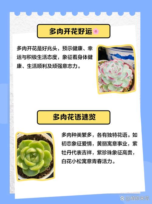 梦见大量肉类预示着什么周公解梦中的多肉象征什么含义？