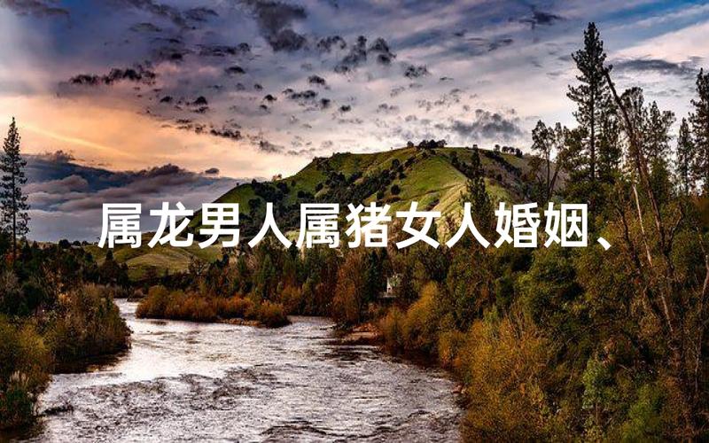 属猪和属龙的人结婚，他们的婚姻生活是否和谐美满？