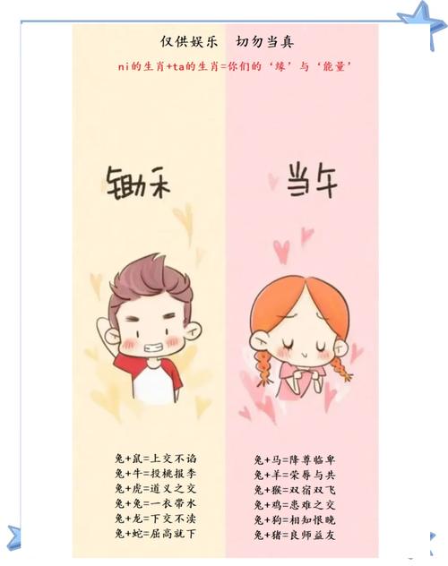 属兔和属鼠之间有何特殊关系？他们的相配程度如何？