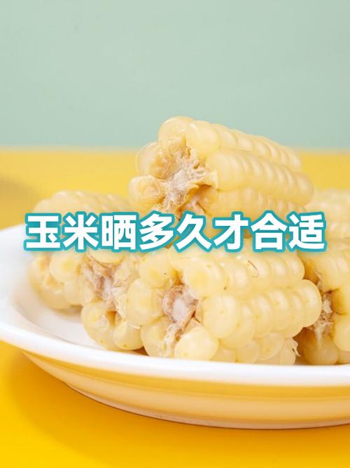 梦见晒玉米有什么特殊预兆或含义？