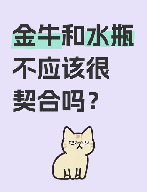 水瓶座为何在与金牛座的较量中常常处于下风？