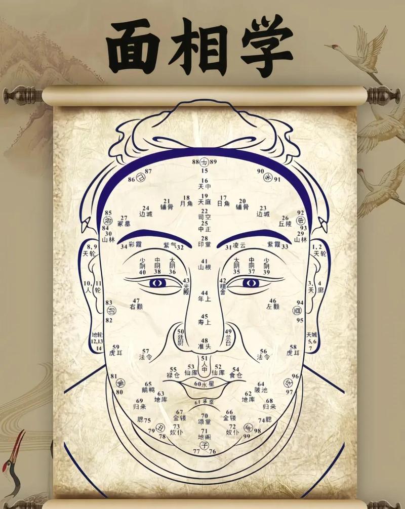 额头上的箭头纹预示着怎样的命运？