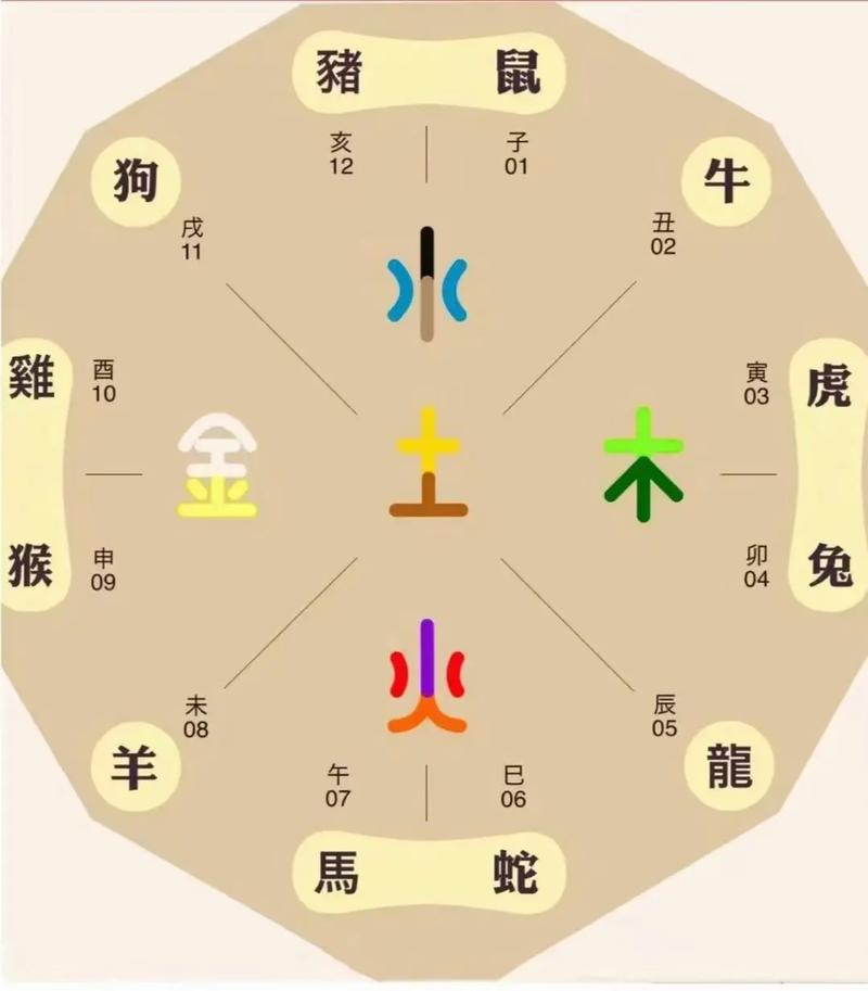 十二生肖中，哪个生肖位于右的位置？