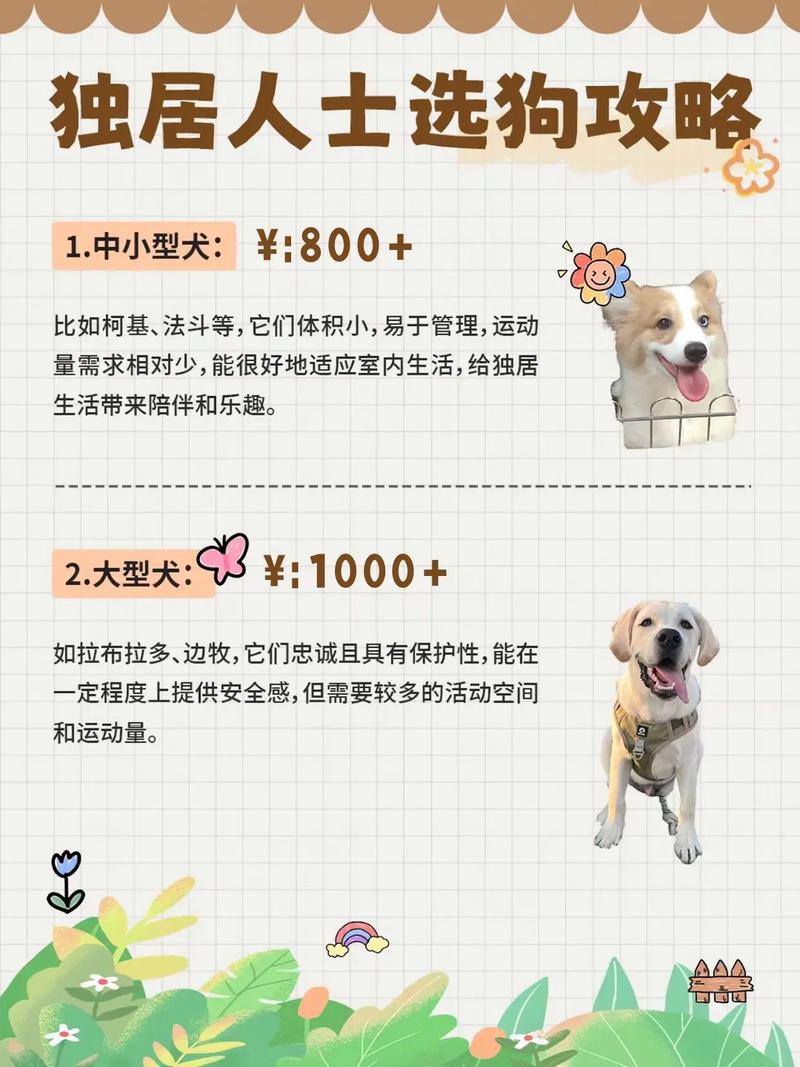 属狗的人最适合养哪些犬种作为宠物呢？