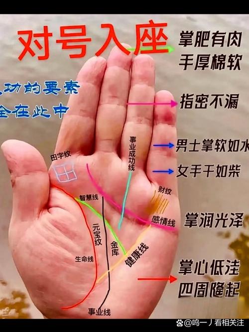 女子的右手命运线如此之短，难道她后半生真的会顺风顺水吗？
