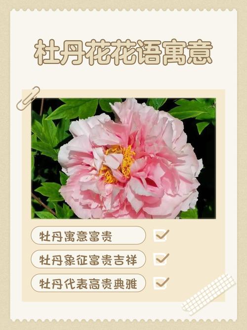 牡丹象征着哪些品质和精神？其背后蕴含了怎样的精神内涵？