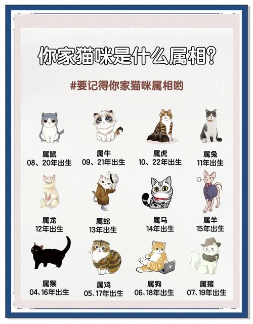 哪个生肖与猫咪缘分最深，最适合作为家里宠物陪伴？