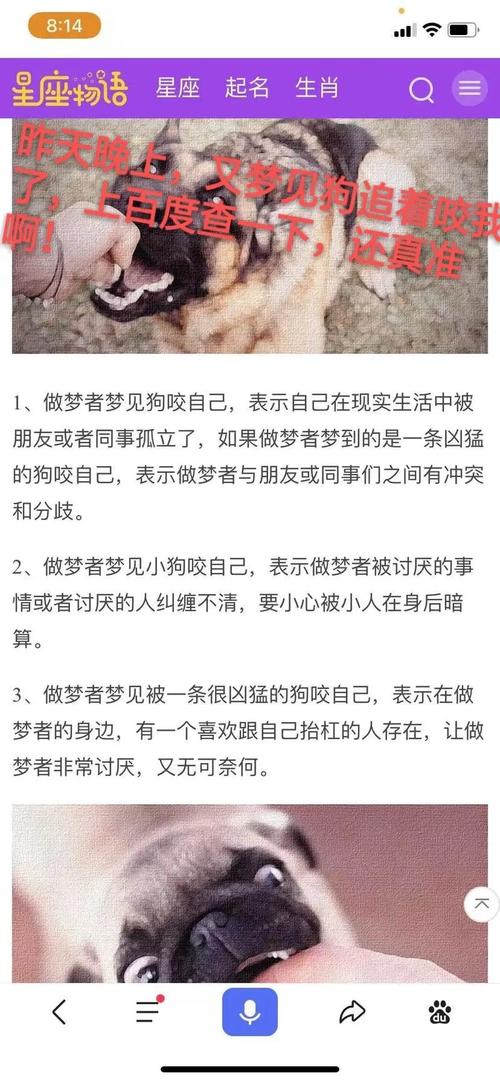 梦见喂狗吃东西时狗嘴变鸡嘴，这梦境究竟有何特殊含义？