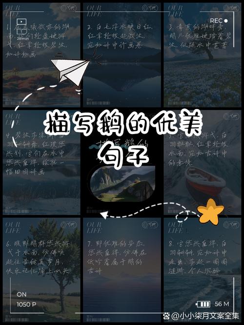 白天鹅形容一个人，其象征意义能否转化为一个？