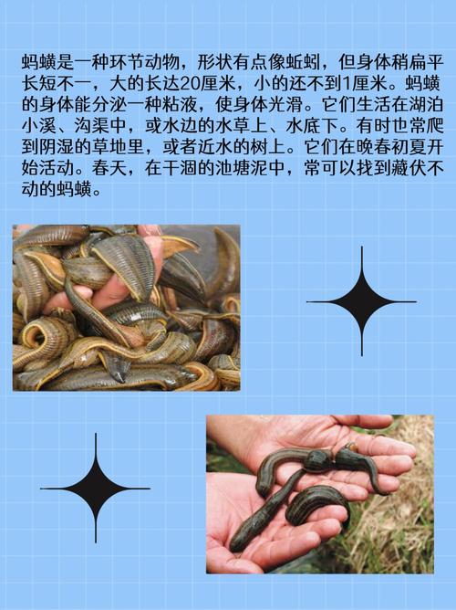 梦见被蚂蟥咬脚吸血是什么预兆？周公解梦里说梦到被水蛭咬脚有什么含义？