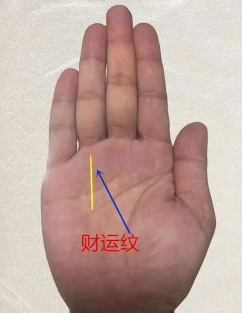 男人财运旺的手相有哪些特征？财运旺盛的手相有什么特点？
