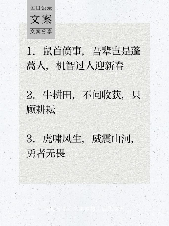 哪个生肖能描绘出唯美的句子？
