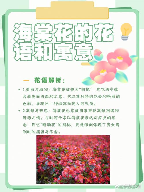 海棠花开的花语和象征寓意具体是什么？
