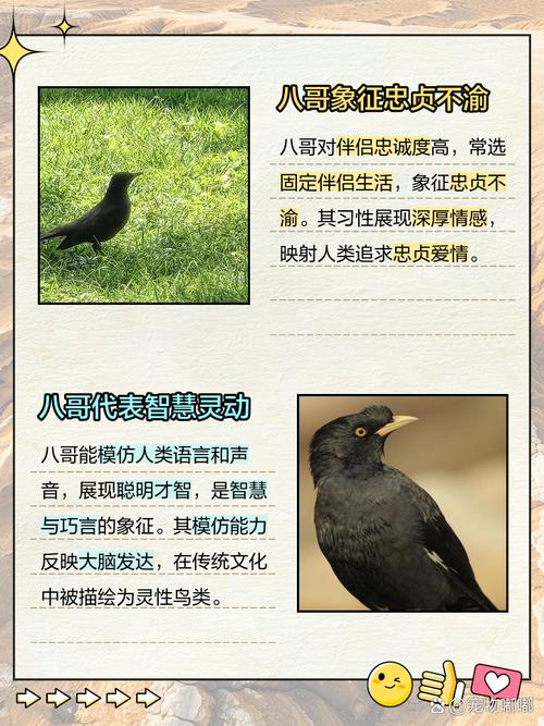 梦见哥哥预示着什么？是吉是凶？有什么特殊含义？