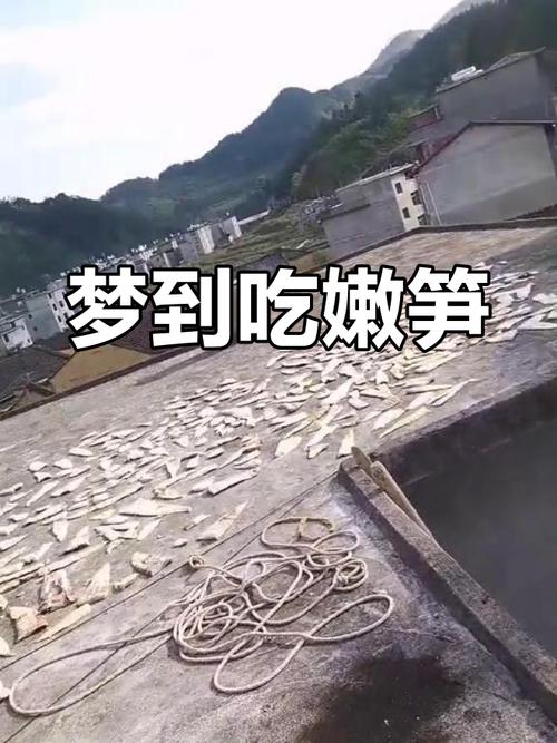 梦见春笋预示着什么吉凶？有什么特殊含义？