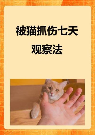 梦见老公手被猫抓伤预示着什么？有什么特殊含义吗？