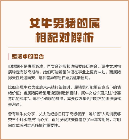 属猪男和属牛的婚姻配对是否合适，他们的关系如何？