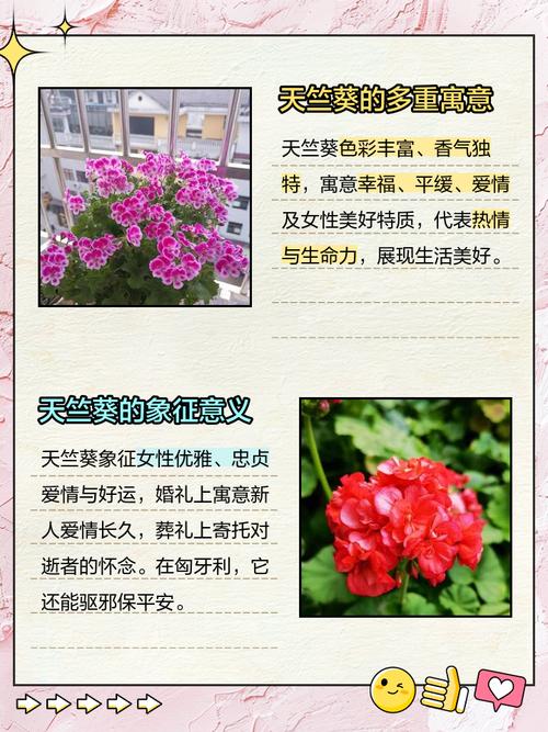 梦见自己种花是什么预兆或象征？