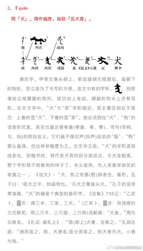 属狗的为何怕这个字根，吉运堂里是否隐藏着不适宜的偏旁之谜？