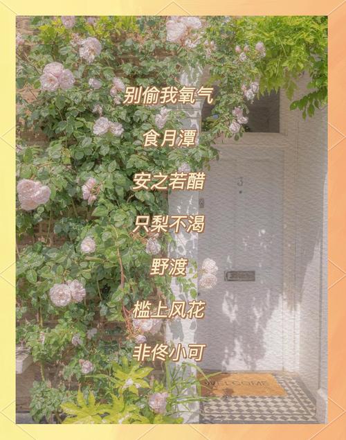有没有好听的女生QQ名字，像仙气那样仙气十足的？