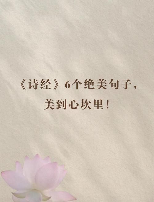 诗经里有哪些句子被赞誉为蕞美？