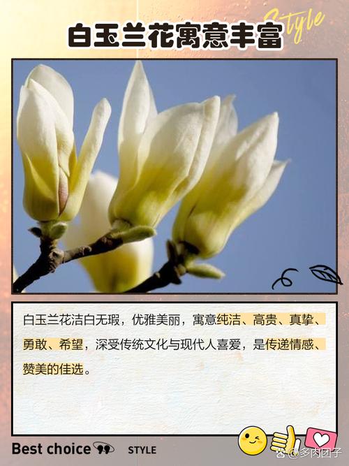 梦见树上开满白花是什么预兆或象征？
