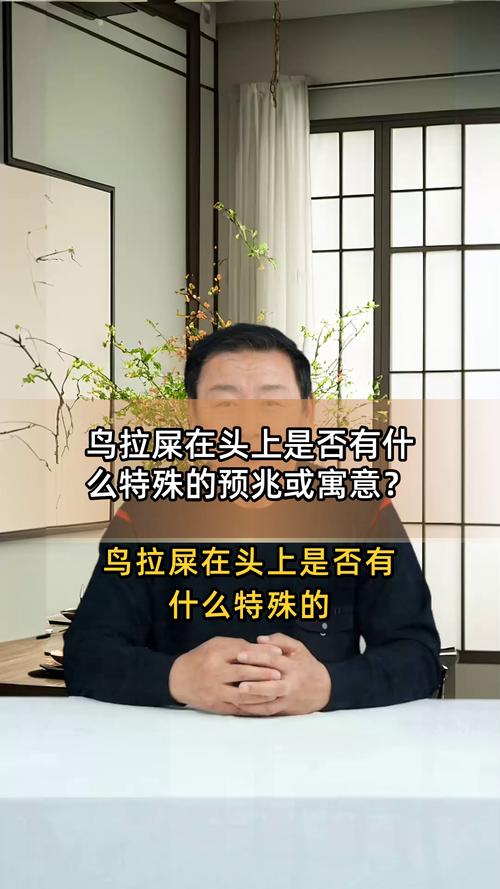 梦见鸟屎遍地预示着什么含义或象征？