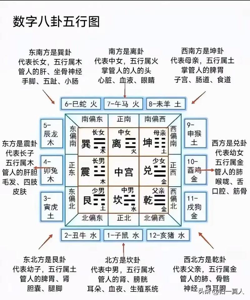 如何通过易经知识来准确判断和布局风水？