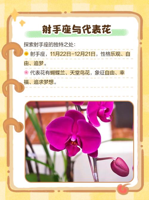 射手座专属花是什么选择它作为运势花能带来好运吗？