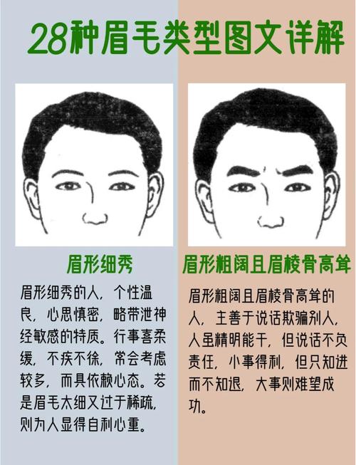 做官的面相特点有哪些，可以从眉毛等部位看出？