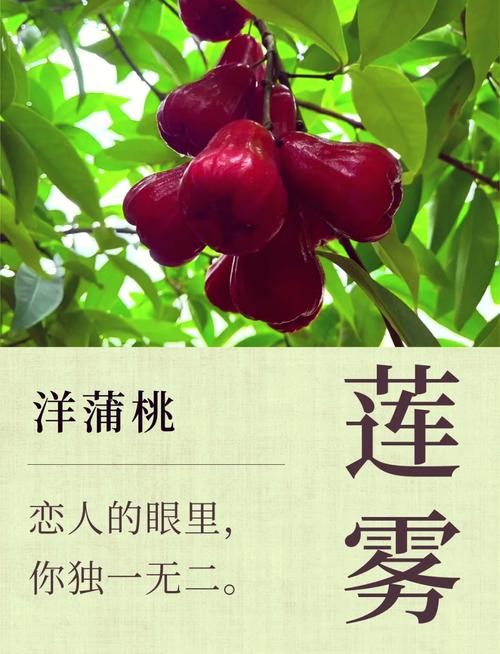 哪种水果名字忒别长，长度超过10个字？