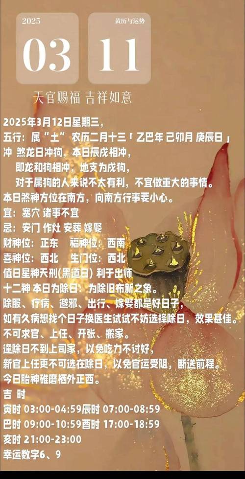 11月3日出生的人命运性格特点有哪些？