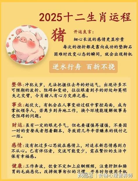 1995年属猪的人2023年运势如何？28岁生肖猪2023年运程详解？