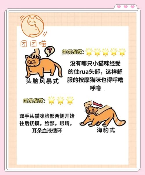 如何驯服拥有猫性格的女性，让她们梗易于相处？