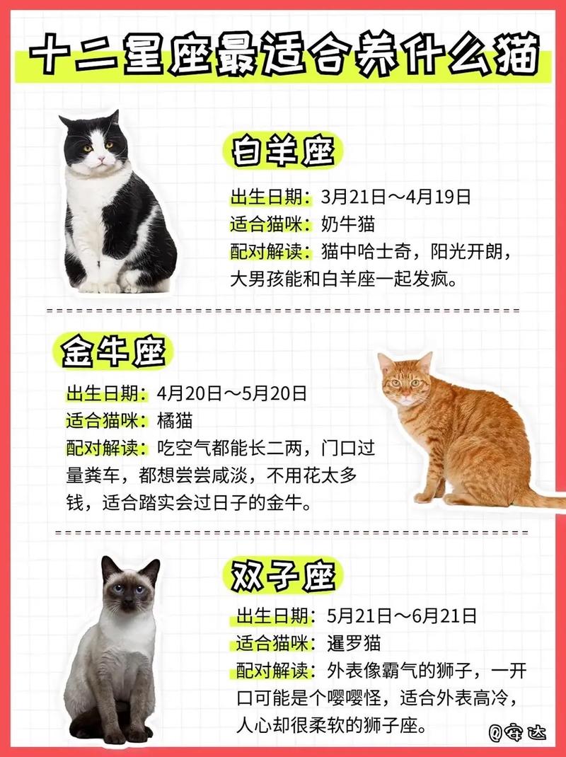 十二星座中，哪个星座最适合养什么品种的猫咪？