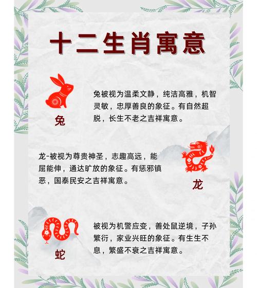 喜出望外是哪个生肖的象征？