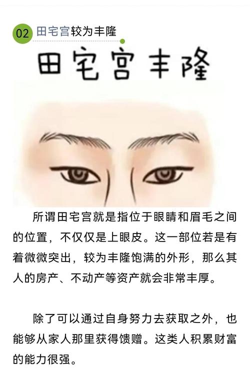 额头特征能反映财运吗？财运的体现有哪些特征？