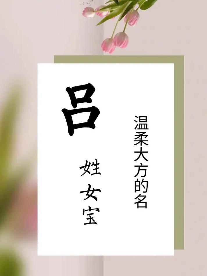 有没有好听的吕姓女孩名字，两个字又顺口又好记的呢？