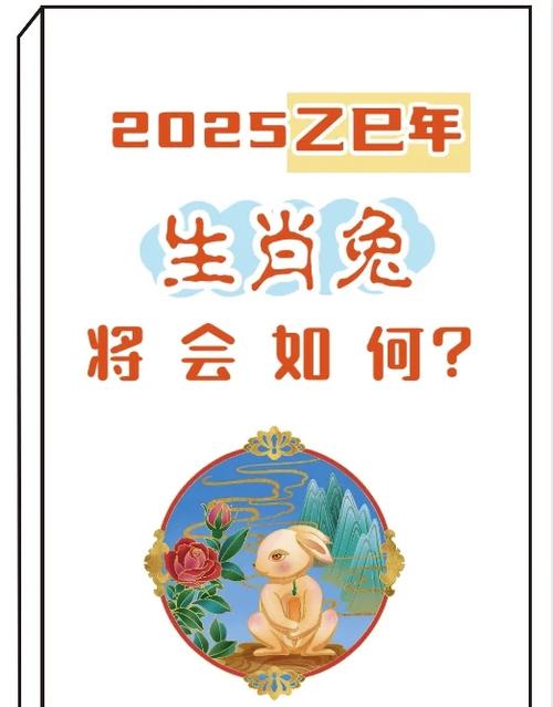 属兔15年运势如何，未来十年财运走向详解？