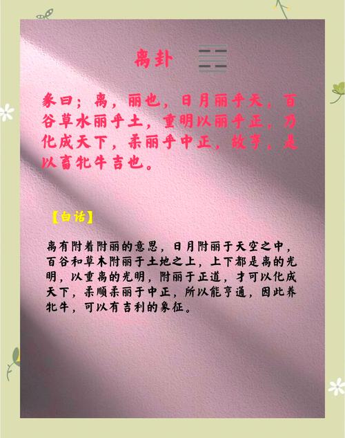 女性占到离卦在感情中预示着什么？