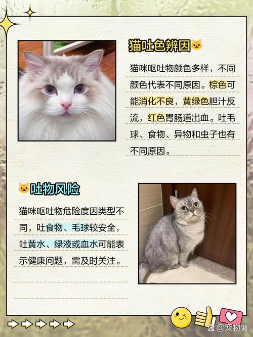 梦见动物排泄物预示着什么是好是坏？